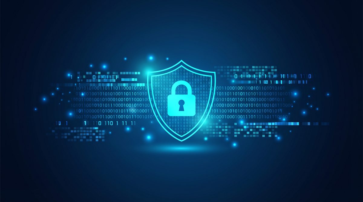 加速器蜂隐私安全保护